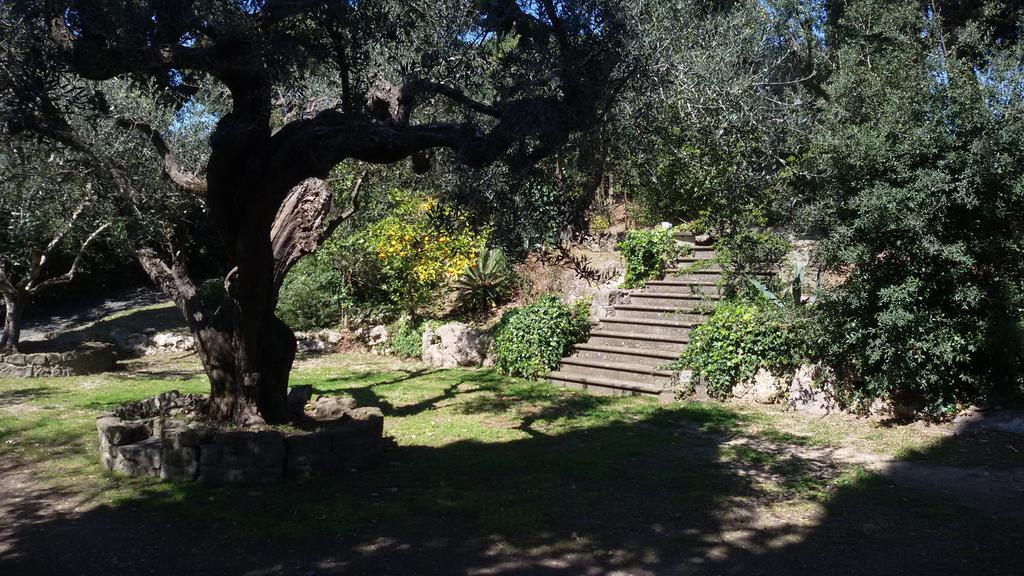 גרוטאפראטה La Dolce Casetta מראה חיצוני תמונה